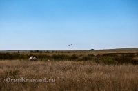 Кваркенский район