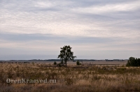 Кваркенский район