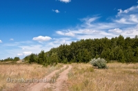 Кваркенский район