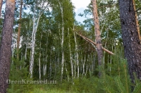 Кваркенский район