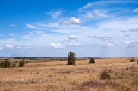 Кваркенский район