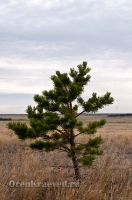 Кваркенский район
