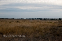 Кваркенский район