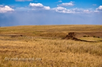 Кваркенский район