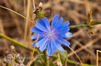 Кваркенский район