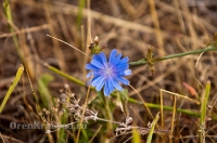 Кваркенский район