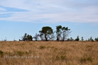 Кваркенский район