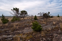 Кваркенский район