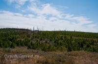 Кваркенский район