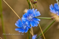 Кваркенский район