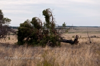 Кваркенский район