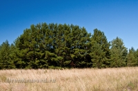 Кваркенский район