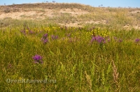 Кваркенский район