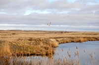 Кваркенский район