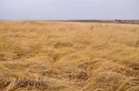 Октябрьский район