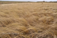 Октябрьский район