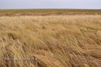 Октябрьский район