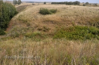 Октябрьский район