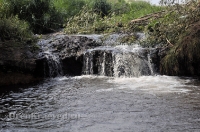 Октябрьский район