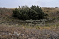 Октябрьский район