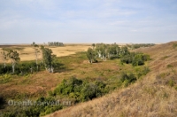 Октябрьский район