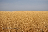 Октябрьский район