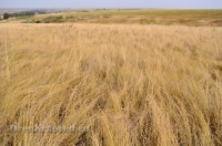 Октябрьский район