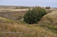 Октябрьский район