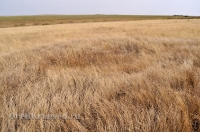 Октябрьский район