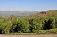 Кувандыкский район