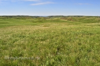 Кувандыкский район