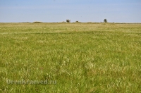 Кувандыкский район