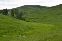 Кувандыкский район