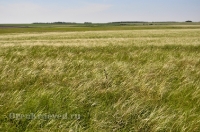 Кувандыкский район