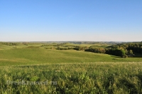 Кувандыкский район