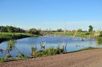 Кувандыкский район