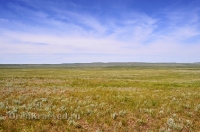 Кувандыкский район