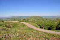 Кувандыкский район