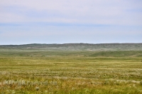 Кувандыкский район