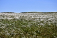 Кувандыкский район