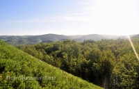 Кувандыкский район