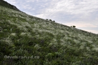 Кувандыкский район