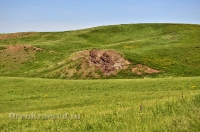 Кувандыкский район