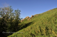 Кувандыкский район