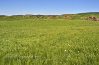 Кувандыкский район