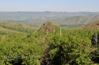 Кувандыкский район