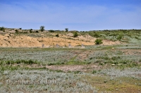 Кувандыкский район