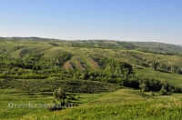 Кувандыкский район