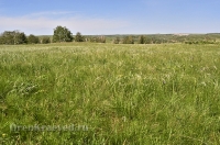 Кувандыкский район