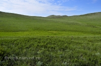 Кувандыкский район